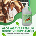 Doc Hoag's Aloe Vera Horse Supplement, Gastric & Ulcer Support, 1 Gallon