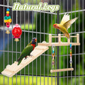 Sonwyoung 12 Pcs Parakeet Cockatiel Bird Toys, Parrot Swing Chewing Hanging Toys, Colorful Style Parrots Cage Accessories, Interactive Chew & Climb Play Set (Basic Style)