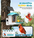 Bird Feeder with Camera Solar Powered: Smart Bird Feeders for Outdoors Garden with AI Identify Auto Capture 2K HD Bird House with Camera Outside WiFi Live View Birdfeeder Cam Gift for Birds Lover