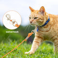 PETPMEEE Cat Leash - 15 ft / 30 ft Reflective Long Cat Leash Outdoor for Walking Training Playing - Escape Proof Yard Lead Pet Leash Also for Cats, Small Dogs, Puppy, Kitten, Rabbit