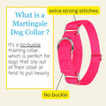 Country Brook Petz - Martingale Dog Collar - Heavy-Duty Training Collar with No Buckle - Service Dog Collar for All Pups