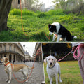 Long Dog Training Leash，Heavy Duty Reflective Rope Lead for Small Medium Large Dogs ，6FT 10FT 15FT 30FT 50FT for Trainin