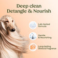 PAWFUME Deshedding Dog Shampoo and Conditioner, Show Dog, 1-Pack – Nourish & Detangle for Silky Soft Coat – Probiotic, Deep-Cleaning, pH-Balanced Formula – Salon-Quality Shampoo for Dogs