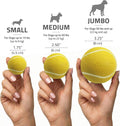 Playology Squeaky Chew Ball Dog Toy - Jumbo, Chicken Scent