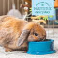 Oxbow Dripless Guinea Pig Water Bottle & Rabbit Water Bottle, 15 oz / 450ml