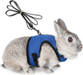 PETTOM Bunny Rabbit Harness with Stretchy Leash Cute Adjustable Buckle Breathable Mesh Vest for Kitten Small Pets Walkin