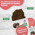 Hermit Crab Greensand – Calcium and Trace Mineral Molting Support – Non-GMO, Auto Feeder Friendly, Inert Powder Formula 