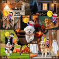 Dog Halloween Costumes, Funny Dog Cowboy Rider Costume, Adjustable Pet Halloween Cosplay Costume for Small Medium Large 