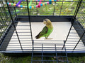 Gravel Paper for Bird Cage,BirdCage Liner Papers Cuttable Gravel Liner Sea Sand Paper Pet Animal Cages Cushion Great for