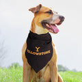 Official Yellowstone Dog Collar, Bandana & Leash Set, for Small Dogs Gift