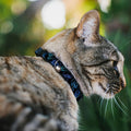 Disney Breakaway Cat Collar with Bell, Plastic Clip, Easy Adjustable, Electric Stitch Poses Black Neon Blue, 8.5 to 12 Inches 0.5 Inch Wide