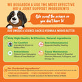 Bernie's Healthy Hips, Hip and Joint Supplement for Dogs, 90 Ct Soft Chews