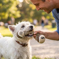 Tennis Ball Rope Toy for Dogs, 2-in-1 Fetch & Tug Chew Toy, Tug of War Toy