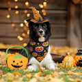 Halloween Dog Bandanas - 2 Pack Reversible Pumpkin and Bat Pet Scarf for Boys and Girls | Fall Dog Bibs | Premium Durabl