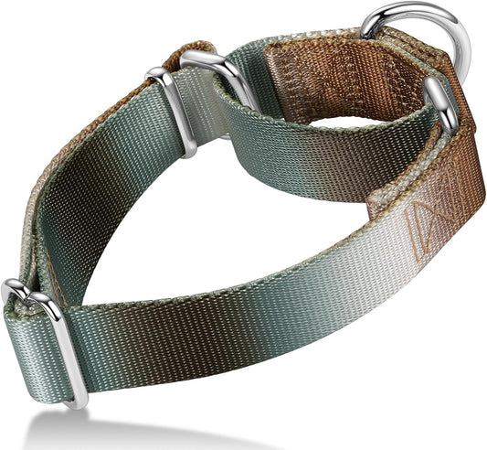 Martingale Dog Collar Colorful Gradient Fashionable - Anti-Escape Soft Durable Pets Collar for Walking Training Outdoor 