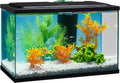 Tetra 5.5 Gallon Glass Aquarium, Rectangular Fish Tank