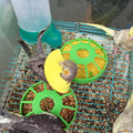4Pcs Bird Cone Collar for Wound Biting Prevention & Anti Plucking