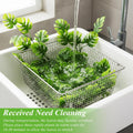 Suncalla 8 Pack Reptile Plants Terrarium Hanging Plant Vine Boston Climbing Terrarium Plant with Suction Cup for Bearded
