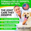 Hemp Hip and Joint Supplement for Dogs - Glucosamine for Dogs - 170 Dog Joint Pain Relief Treats - Chondroitin, Hemp Oil, MSM - Mobility & Flexibility Support - Advanced Care Health - Made in USA