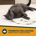 OurPet's Premium Catnip - 2.25 oz Jar of High Potency Cat Nip blend - 100% Natural North American Grown, Safe & Non-Addictive Catnip, Used to Supplement Cat Nip Toys, Spray, & Accessories (2 Cups)