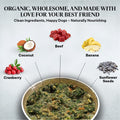 Healthy Dogma Homestyle PetMix Dehydrated Dog Food, Beef, Raw