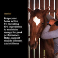 Vita Flex Pro Lactanase Pre Performance Horse Supplements, 25 g Packets, Show Safe Horse Muscle Supplement, for Energy, 