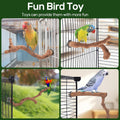 6-Piece Premium Bird Perch Stand with Natural Grape Wood Branch, Paw Grinding Fork, Chewing Stick, Cage Accessories for 