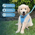 Best Pet Supplies Voyager Step-in Air All Weather Mesh Harness and Reflective Dog 5ft Leash Combo with Neoprene Handle, for Small, Medium and Large Breed Puppies - Set (Baby Blue), Small