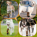 2 Pcs Dog Paw Wound Recovery Boots Non-Slip Dog Protector Boots for Injured Paw Breathable Soft Pet Shoes for Wound Care
