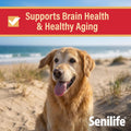 Senilife Cognitive Support Capsules for Senior Dogs, Brain Health & Cognitive Function Supplement, Supports Memory & Mental Alertness, 30 Capsules