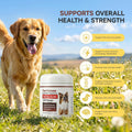 Pawvotum Amino Acids for Dogs,Dog Vitamins and Supplements, Support Immunity, Digestion, Skin & Coat, Muscle Health, Contains Lysine, DL-Methionine and Taurine
