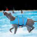 Queenmore Large Dog Life Jacket, High Floating Dog Life Vest for Swimming