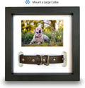 Dog Memorial Picture Frame with 5 Display Options- Dog Collar Memorial Frame Gift - Cat or Dog Pet Loss Gift for a Griev