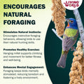 Living World - Millet Spray for Birds, 3.5 Oz – Premium Treat for Budgies, Canaries, Finches, Cockatiels and Other Pet Birds