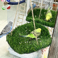 FlidRunest Large Bird Foraging Mat Toys, Natural Bird Grass Hammock Swing Toy with Hooks, Climbing Perch Hanging Toy for Parakeets, Parrot, Cockatiels, Bearded Dragon, Snake