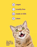 Petsmile VOHC Accepted Pet Toothpaste, London Broil 4.2 Oz, Cats + Dogs