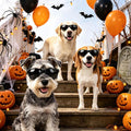 Enjoying Dog Sunglasses Large Breed, Anti-UV Sun Glasses for Large Dogs Outdoor Driving Cycling, Pet Glasses for Dogs Ph