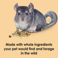 Kaytee Food from the Wild Chinchilla (Chinchilla Food), 3 Pounds