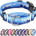 Hikiko Martingale Collar for Dogs with Special Pattern,Adjustable,M