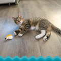 Catstages Dental Banana Cat Toy with Catnip, Dental Mesh & Crinkle Sound, Interactive Kicker for Indoor Cats & Kittens, 