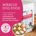 Dr. Harvey's Raw Vibrance Dog Food Base Mix (3 lb)