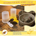 2 Pack Quail Water Feeder, Anti Drowning Design, 400ml