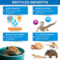 Gargeer Premium ReptiSoak Electrolytes SOAK for Reptiles | Hydration & Recovery Bath Powder for Bearded Dragons, Geckos,