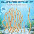 200g Natural Driftwood Root for Aquarium, 12"Aquascaping Wood for Terrarium