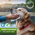 Petazy Pet Wipes for Dogs and Cats – 400 Count (8x8in) Hypoallergenic, Deodorizing Dog Wipes for Paws, Ears and Butt | XL with Aloe & Coconut Oil, Lavender Scented | Includes 4 Grooming Glove Wipes
