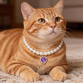 Accesyes Cat Dog Sparkle Jewelry Pearl Collar Puppy Kitten Rhinestone Pendant Adjustable Charm Necklace for Small Pets Wedding Photography 2 Pack (Purple and Emerald Green)