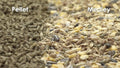Kaytee Supreme Pet Mouse and Rat Food, 4 lb