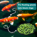OIIKI 10 PCS Fish Feeding Rings Sets, Floating Aquarium Plant Corral, Black