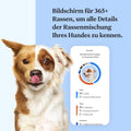 Wisdom Panel Dog Breed Detection DNA Test Kit - Accurate Breed ID MDR1 Pedigree Relatives