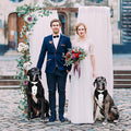 GOYOSWA Dog Tuxedo Suit Wedding Bandana Collar with Bow Tie, Adjustable Formal Dog Tux, Engagement Birthday Tuxedo for S